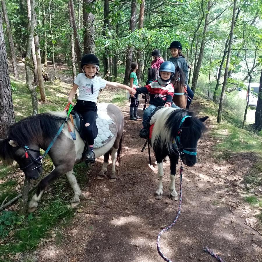 Domaine Du Bois Du Loup Daire Saint-Agnan  Dış mekan fotoğraf