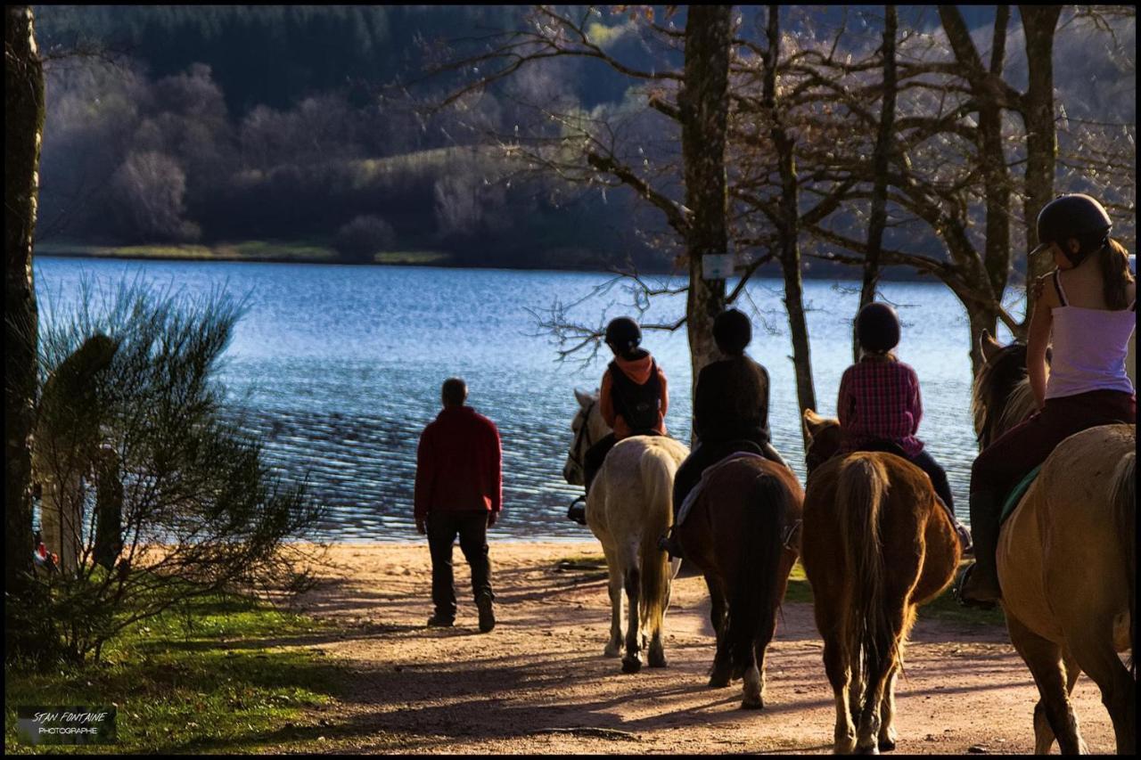 Domaine Du Bois Du Loup Daire Saint-Agnan  Dış mekan fotoğraf