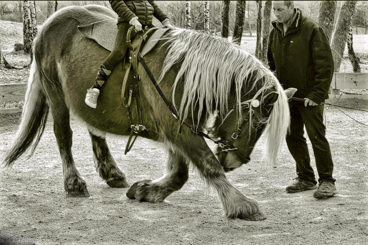 Domaine Du Bois Du Loup Daire Saint-Agnan  Dış mekan fotoğraf